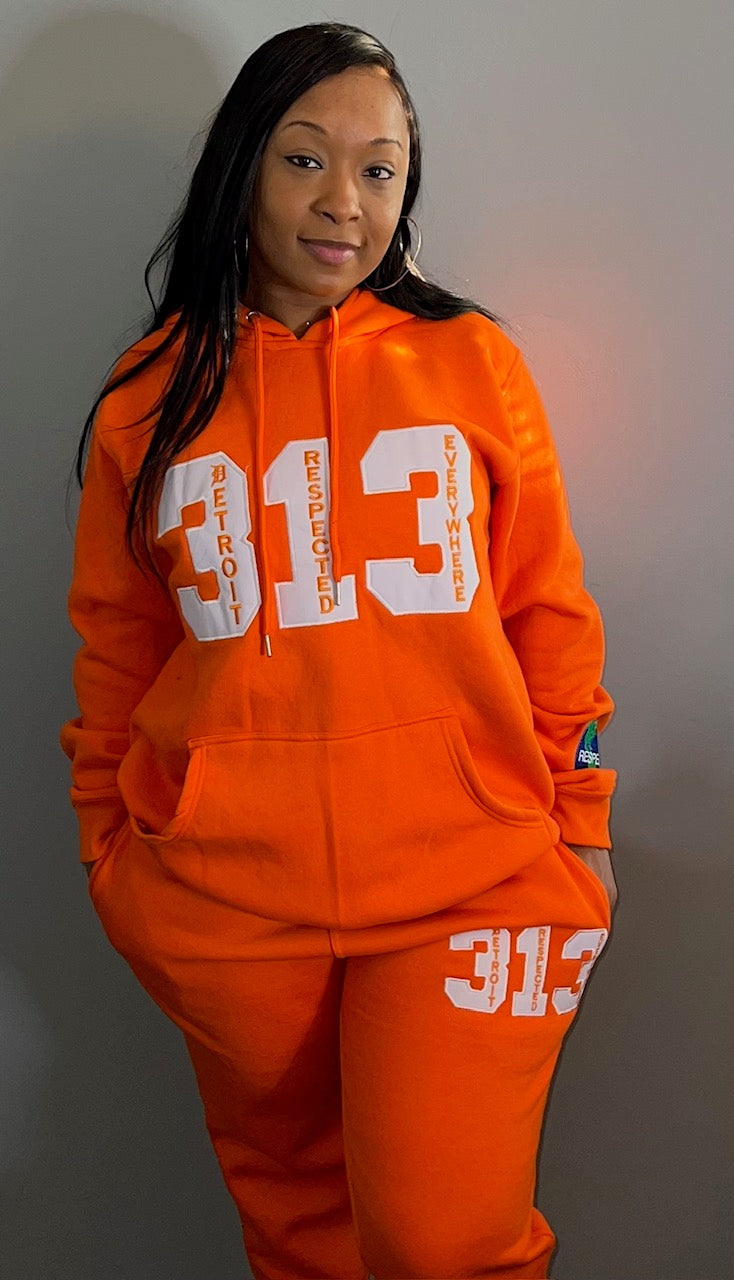 313 DRE Hoodie (Orange) Tshirt or Hoodie or Pants or Shorts