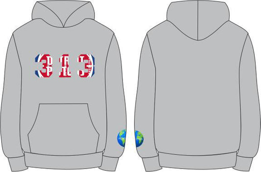 DRE 313 Detroit Pistons Tshirt or Hoodie (Gray)