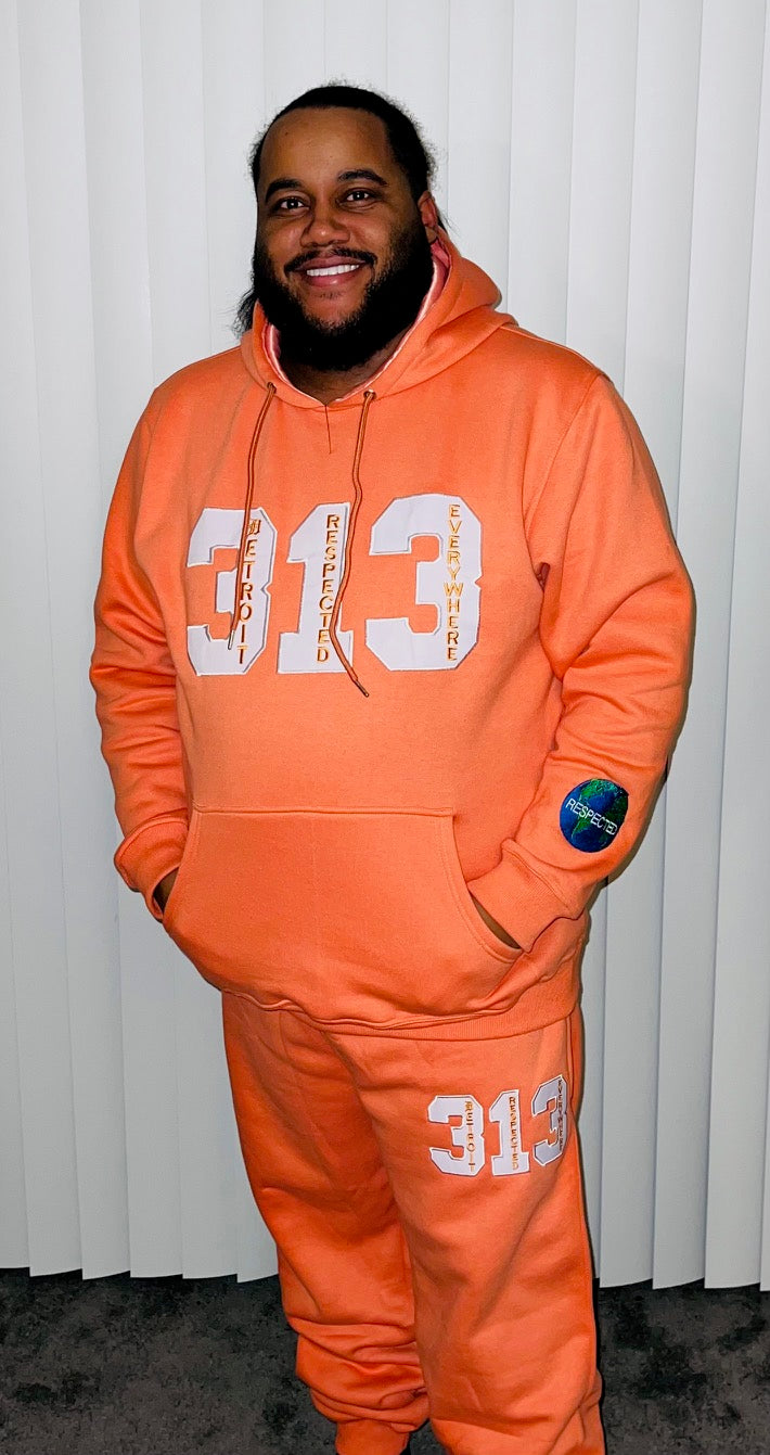 DRE 313 T-shirt or Hoodie or Pants (salmon)